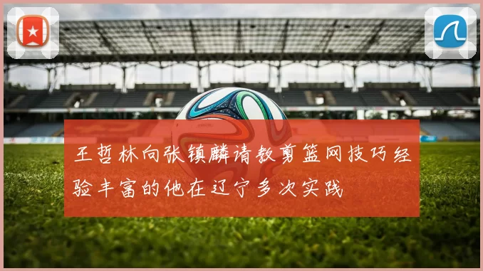 王哲林向张镇麟请教剪篮网技巧经验丰富的他在辽宁多次实践